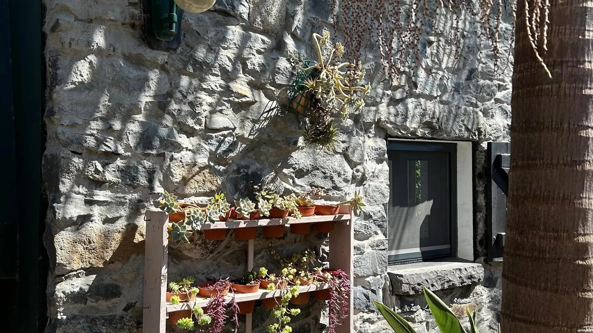 As Casinhas Da Madeira - Cosy Stone Cottage In A Subtropical Garden Arco da Calheta  Portugalia